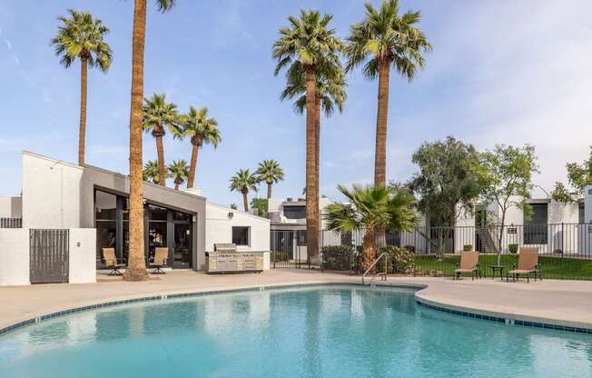 A pool surrounded by palm trees and modern buildings.