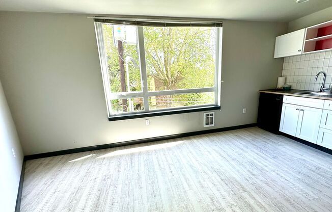 Studio, 1 bath, 258 sqft, $1,175, Unit 505