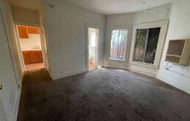 Studio, 1 bath, 200 sqft, $1,695