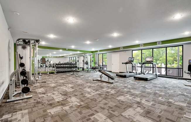 the gym is equipped with weights and cardio equipment and windows. Circle Pines, MN Lexington Lofts