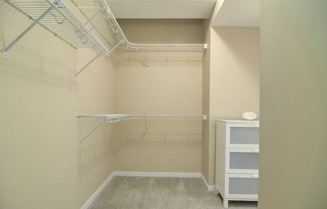 Abundant closet space - Eitel Apartments