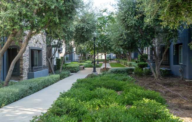 A tree-lined walkway with bushes and a bench.