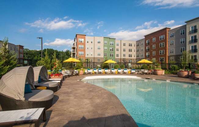 the swimming pool at the grove resort  spa