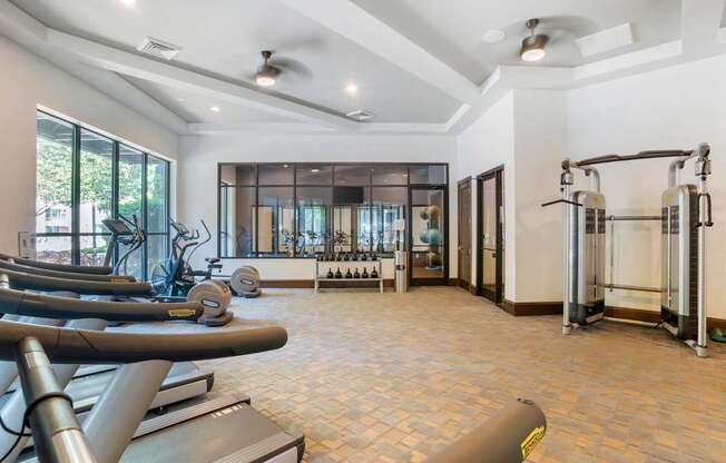 A gym with treadmills, weights, and a squat rack.