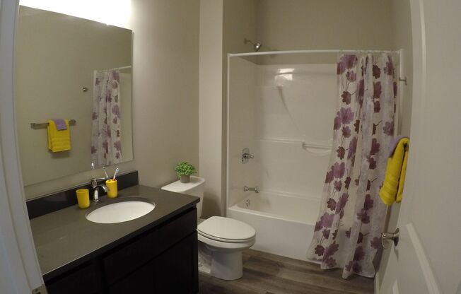 Studio, 1 bath, 469 sqft, $1,550