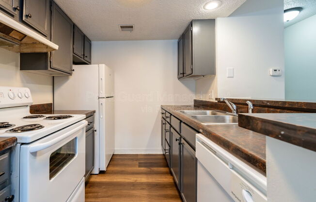 Studio, 1 bath, 384 sqft, $595, Unit 2110