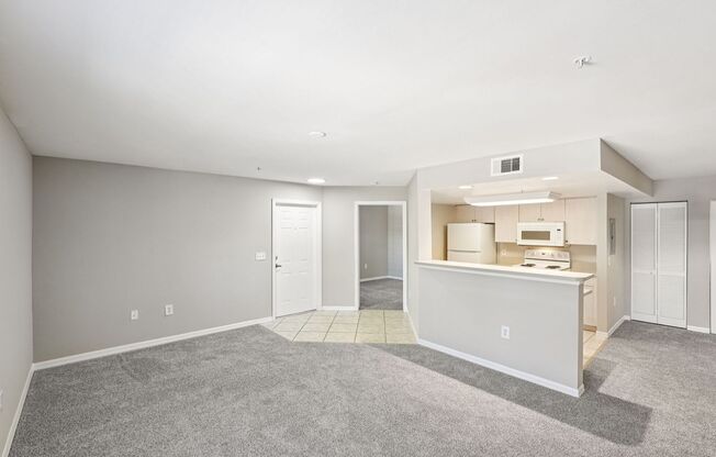 2 beds, 2 baths, 1,001 sqft, $1,450, Unit 0536