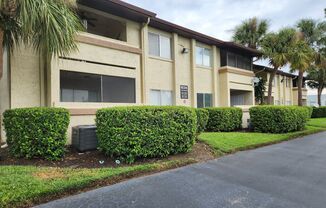 Spacious One Bedroom Apartment in Orlando