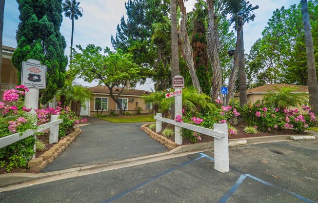 1 bed, 1 bath, 410 sqft, $1,795, Unit 009#B84