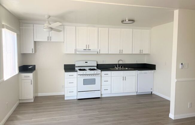 Studio, 1 bath, 390 sqft, $1,600, Unit 103