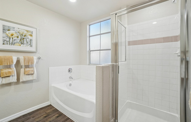 Stratton Tub/Shower Area