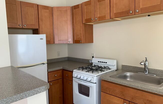 Studio, 1 bath, 450 sqft, $895