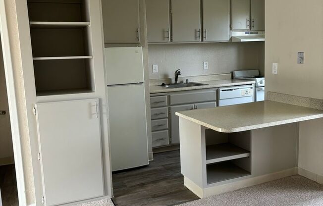 1 bed, 1 bath, 530 sqft, $1,295, Unit 60