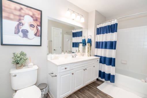 a white bathroom with a picture of a dog at Merion Milford Apartment Homes, Milford, 06460