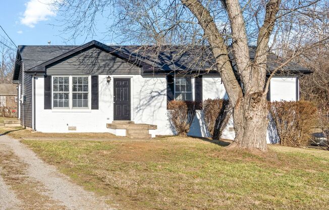 3 Bedroom Dog Friendly Home For Rent!