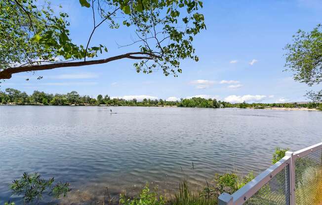 A serene lake with a fence and trees in the foreground.