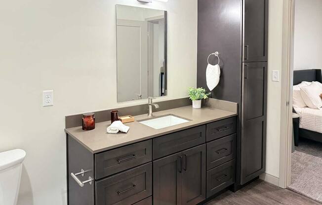 a walk-through bathroom with a long vanity sink, quartz countertops, dark wooden cabinets, and a tall storage cabinet