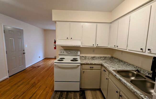 1 bed, 1 bath, $1,125