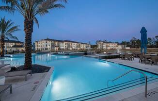 A large swimming pool surrounded by palm trees and lounge chairs.