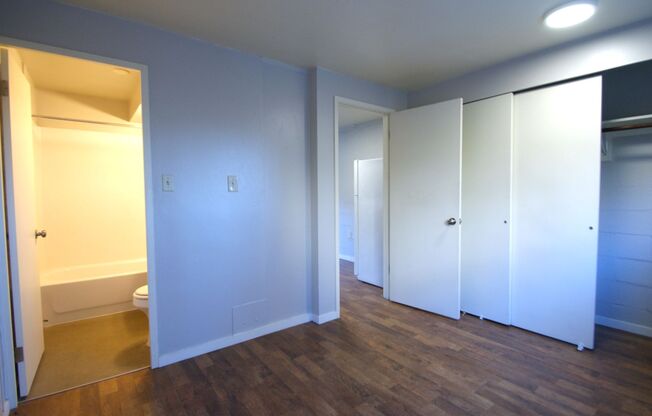 1 bed, 1 bath, 393 sqft, $1,195, Unit 215