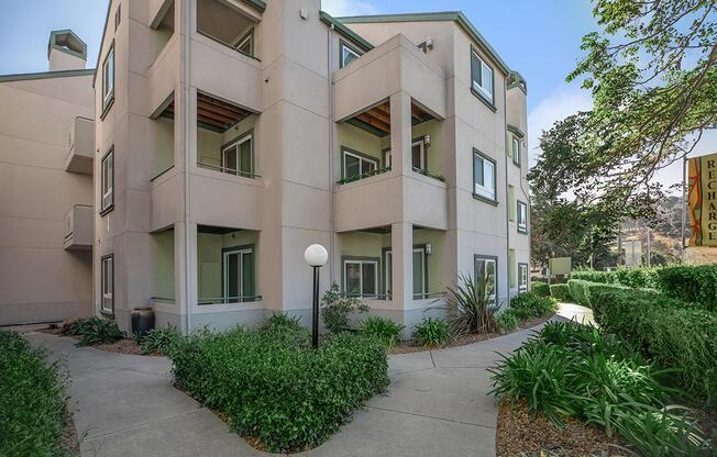 Solace Apartment Homes