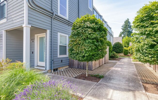 St Johns Townhomes