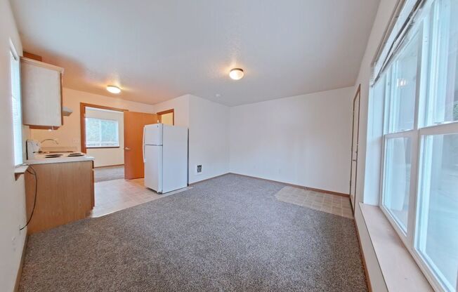 1 bed, 1 bath, $1,100, Unit 1