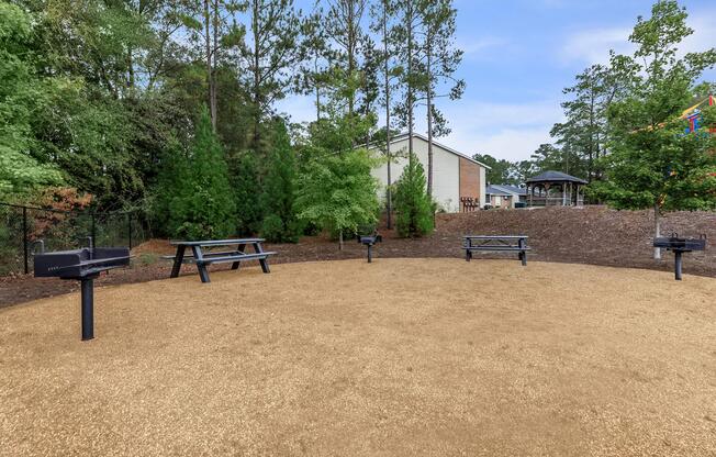 an empty park bench next to a tree