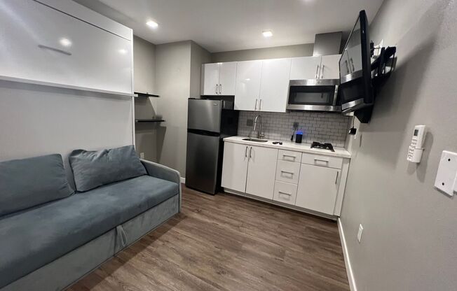 Studio, 1 bath, 188 sqft, $1,650, Unit 434-305