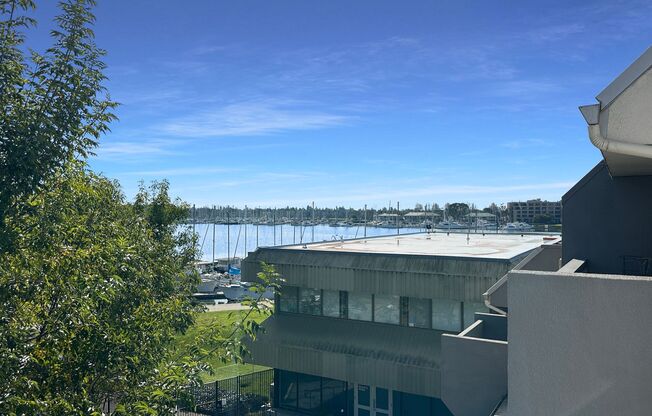 Waterfront Living in the Heart of Jack London Square