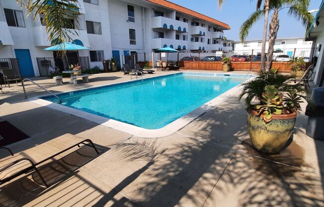 Studio, 1 bath, $1,695, Unit 85