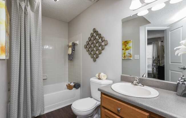 Luxurious Bathroom at Beacon Ridge Apartments, PRG Real Estate Management, Greenville, 29615