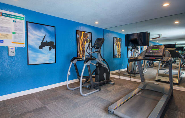 the gym at the enclave at woodbridge apartments in sugar land, tx at Dwell Apartment Homes, Riverside