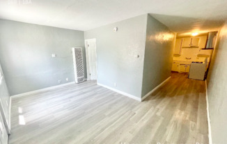 441 W SANTA CRUZ ST