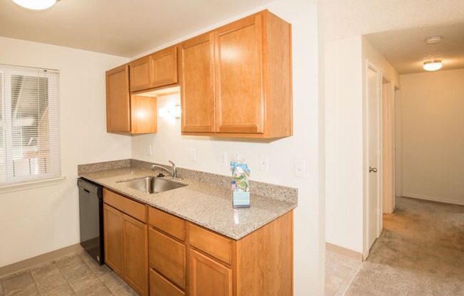 Todd Village vacant apartment kitchen with stainless steel sink, black dishwasher, and wood cabinets