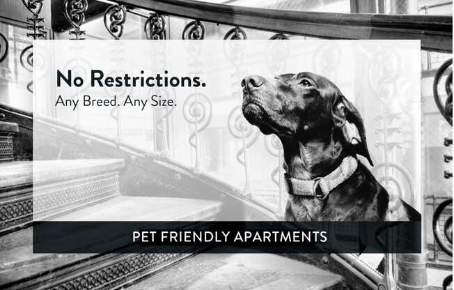 Lexington Hills pet friendly