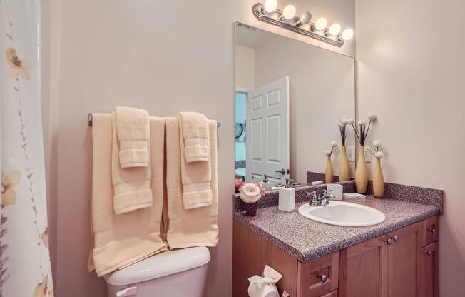 a bathroom with a sink and toilet and a mirror