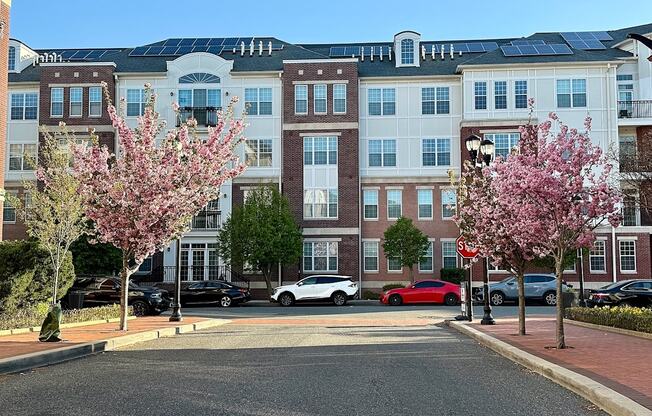A street view of a residential area with apartment buildings, cars, and blooming trees.