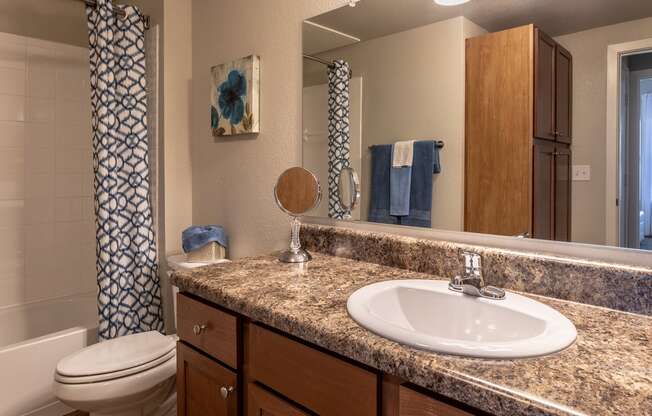 a bathroom with a sink and a toilet and a mirror