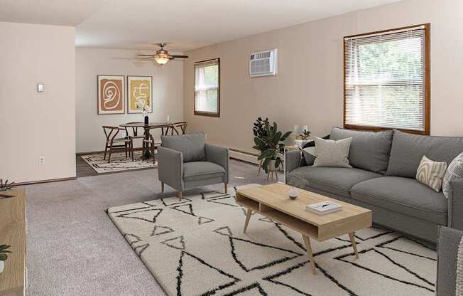A living room with a grey couch, a coffee table, and a rug.