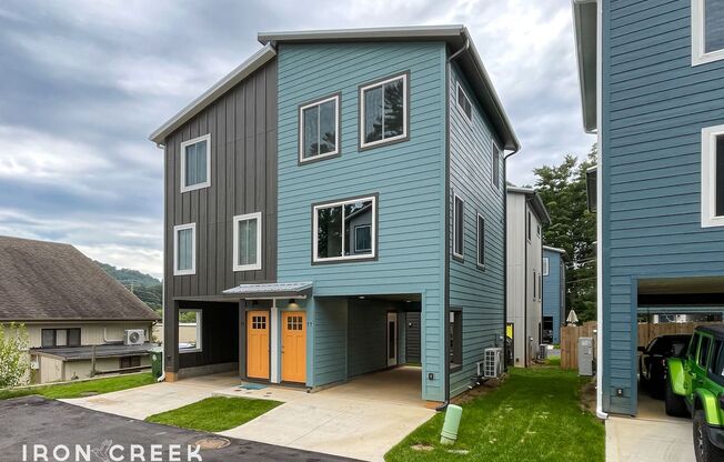 Beautiful, Brand-New Compact Cottage in South Asheville