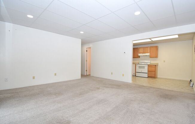 Pet Friendly! Garden Level 2 Bedroom in a Great Central Location! Close to Downtown and MSU!