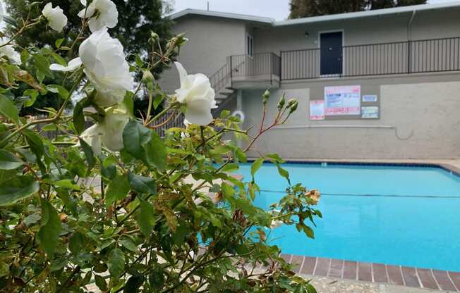 Welcome to Del Prado II Apartments