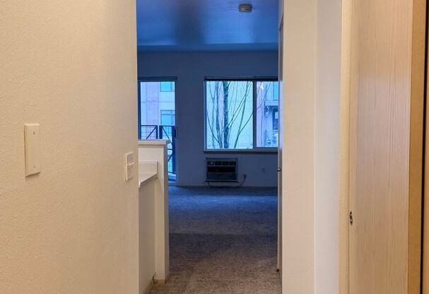 Studio, 1 bath, 483 sqft, $1,450, Unit 308