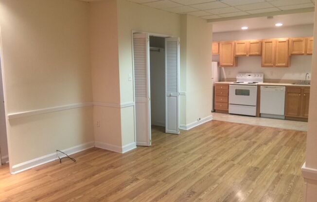 Studio, 1 bath, 294 sqft, $1,225, Unit New King Edward  1A4