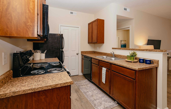 The Woods at Perry Lane - 19