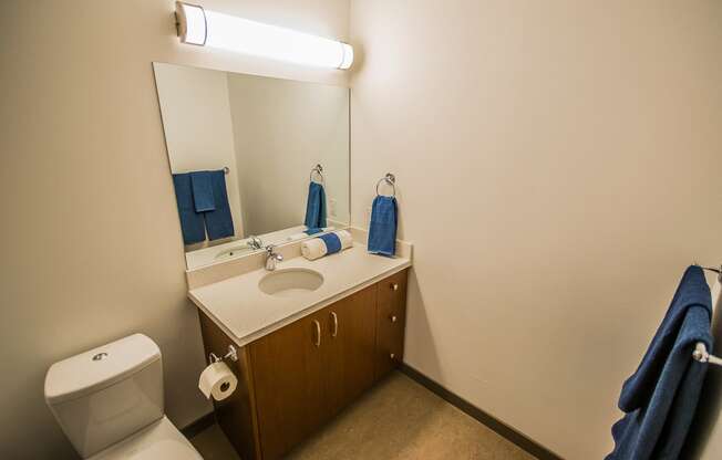 Bathroom with updated countertops