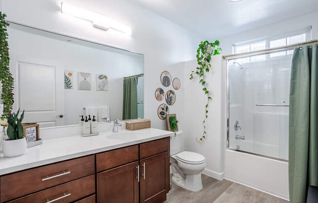 A bathroom with a white countertop and a green plant.