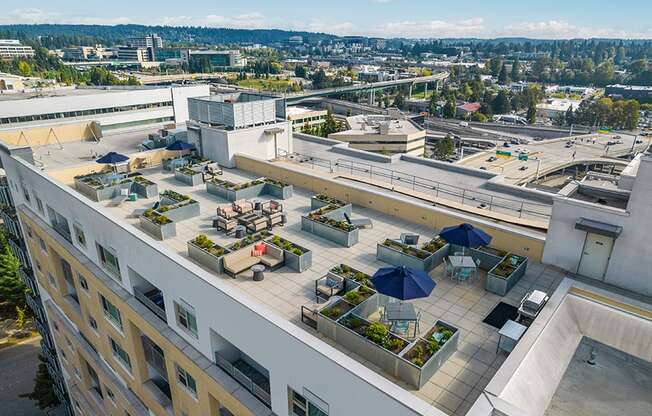 Downtown Bellevue Apartments for Rent