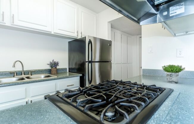 1 bed, 1 bath, 650 sqft, $1,299, Unit 5